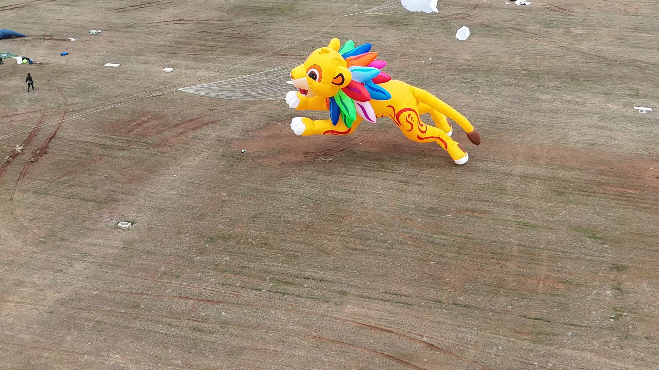 阜阳市品牌风筝定制风筝DIY - 哪里好