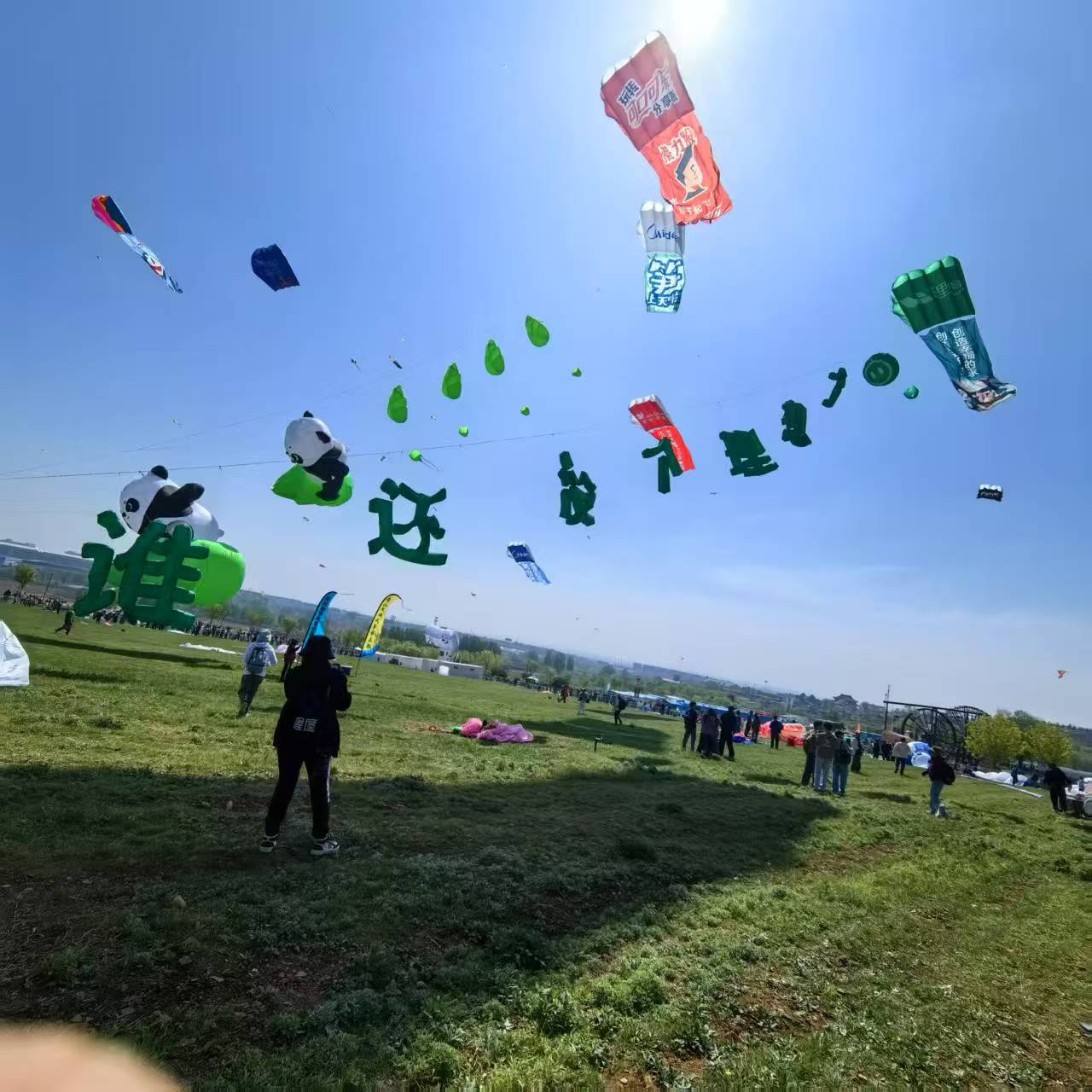 阜阳市风筝商业放飞风筝定制 - 推荐